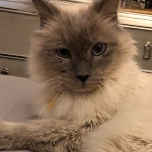 Meet your Posher, Marisela